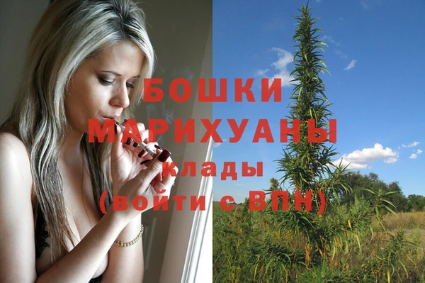 винт Тайга