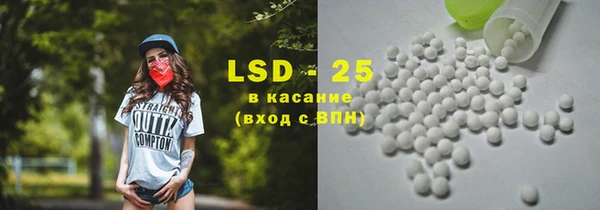 винт Тайга