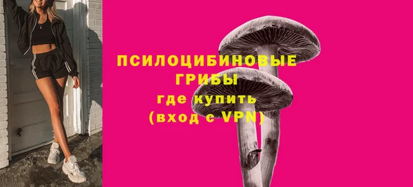 винт Тайга