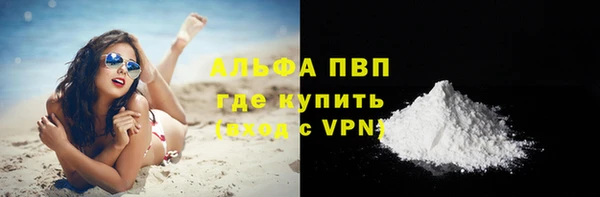 винт Тайга