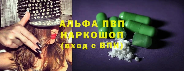 винт Тайга