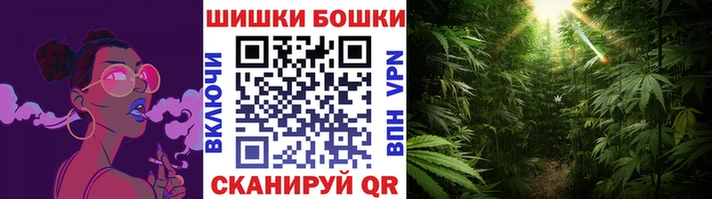 Купить закладки  Каргополь  МАРИХУАНА марихуана 